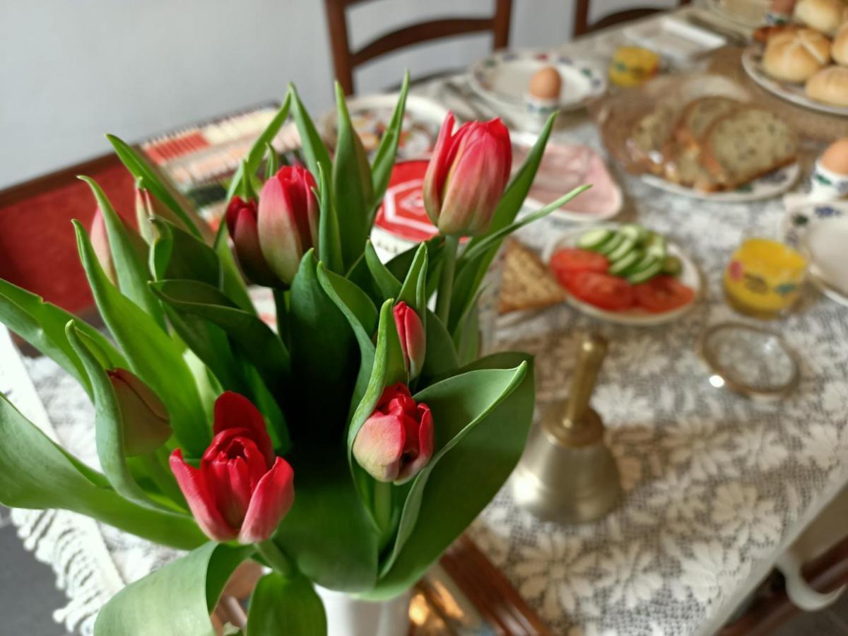 Bij De Friesche Poort Bed & Breakfast Буртанге Екстериор снимка